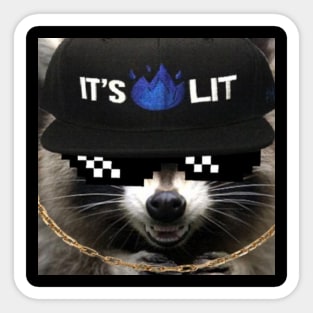 Raccoon Sticker